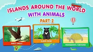 Top 10 Islands & Their Wildlife | PART 2 Animal and Geography Educational Video