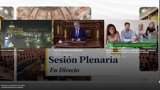 Pleno del Congreso de los Diputados