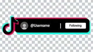TikTok Follow Animation from Creator Zone