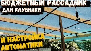 Бюджетный рассадник для клубники  за день и настройка автоматики