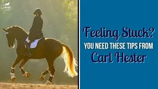 10 Tips From Carl Hester Every Rider Should Be Using