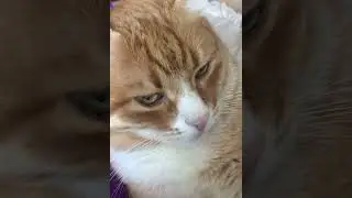 - кожен коштує стільки, скільки варте те, про що він клопочеться…