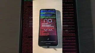 Eureka Kernel Panic☠️ 