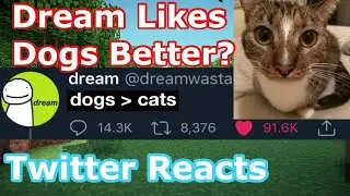 Does Dream like DOGS Over his CAT PATCHES? (HE BARKED ON TWITTER for No Reason?!) Twitter Reacts