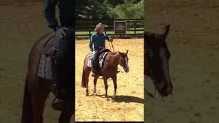 Bud Lyon Teaches You How to Master Hand Placement for Ranch Riding to Wow the Judges