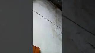 28 марта 2021 г.