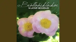Vart du än går (Live i studion 2009)