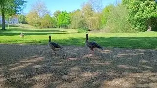 Bygholm Park