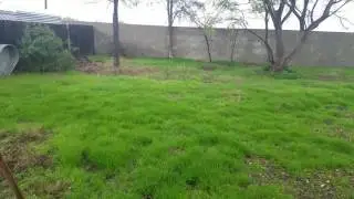 rain b