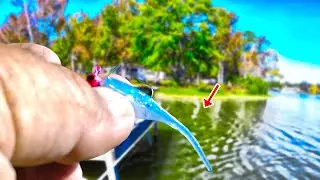 Easy Way To Catch TONS Of Crappie In The Fall 2025!
