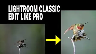 Lightroom Classic 2024, how to edit like a pro. Editing made easy