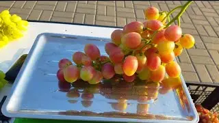 Купідон: якість запилення