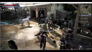 bdo horsebreed - no Auto Arrange - This is no Item Error