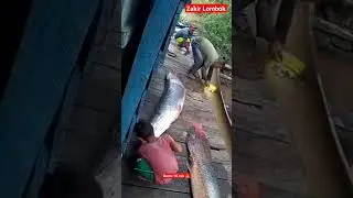 Keseharian warga sungai amazon #shorts
