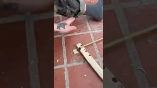 Hand Drill Praxis mit neuem Holz #survival #feuerbohren