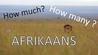 Learn Afrikaans: Asking How much / How many