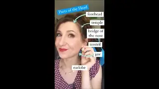 Parts of the Head in English