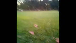 SE TIRA UN PEDO Y PASA ESTO, UN LINK MEGA NO FAKE NO VIRUS 4K FULL HD KKP :v