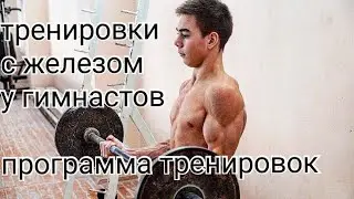 ТРЕНИРОВКИ С ЖЕЛЕЗОМ У ГИМНАСТОВ. Программа, принципы, особенности.