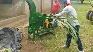 Molino Picadora