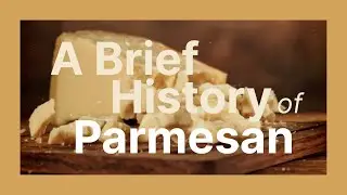 A Brief History of Parmesan Cheese | Made in Italy