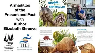 Armadillos of the Present and Past