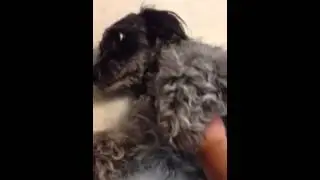 Baby love part 4