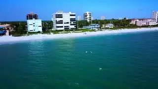 Paddles and Pelicans