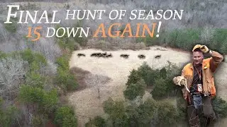 Virginia Rabbit Hunt with Beagles FINAL hunt of the 2021-2022 Season for Daddy Rabbit Outdoors!