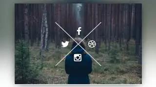 Social media icons Hover effect using html & css || social media icons animation css || hover effect
