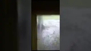 и снова дождь как из ведра