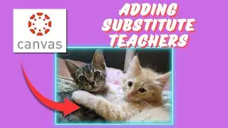 How to add a Temporary Substitute Teacher in Canvas