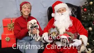 Video Christmas Card 2017 - Cathy Hartt
