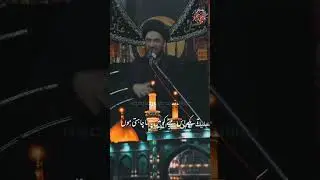 مولا عباس (ع) کی منزلت بہت عظیم ہے! | مولانا سید علی رضا رضوی