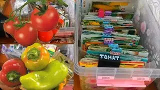 Хвалю - Советую - Рекомендую Перцы и Томаты на этот сезон