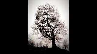 Scariest  Haunted Cemetery  (old Pioneer)