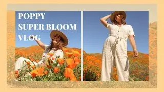 Poppy Fields Super Bloom Vlog