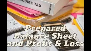 Prepared Balance Sheet and Profit & Loss Ac
