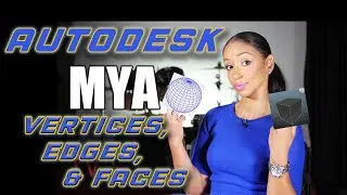 Autodesk Maya Object Components (vertices (Points), Edges, Faces)