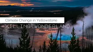 Climate Change in Yellowstone | How changing precipitation patterns threaten Yellowstone's Ecosystem