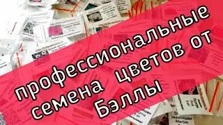 Профессиональные семена цветов от Бэллы(Bella)/Какие семена заказала на  2021[где купить профсемена]