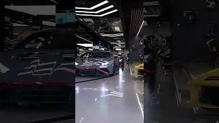 Lamborghini Huracan STO Gang 🥶🥵 #luxury #lamborghini #huracansto