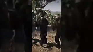 обезьяны