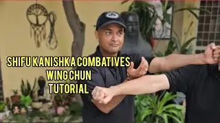 Wingchun Hands Tutorial and applications