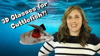 3D GLASSES FOR CUTTLEFISH?! - IT'S #TWISTEM!