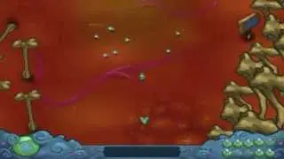 Plankton inside the whale