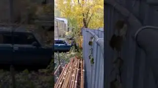 Что делать, если пришла белочка?