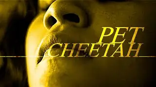 rue bennett | pet cheetah