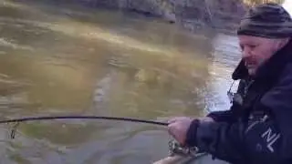 Когда на рыбалке забыли подсак, сазана надо доставать так!