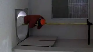 I go down a firepole